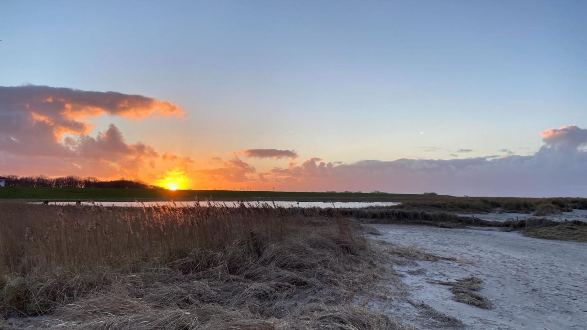 Ferien Im Wangerland - Haus Wiesenweg - Apartment 2 1Og Horumersiel Zewnętrze zdjęcie